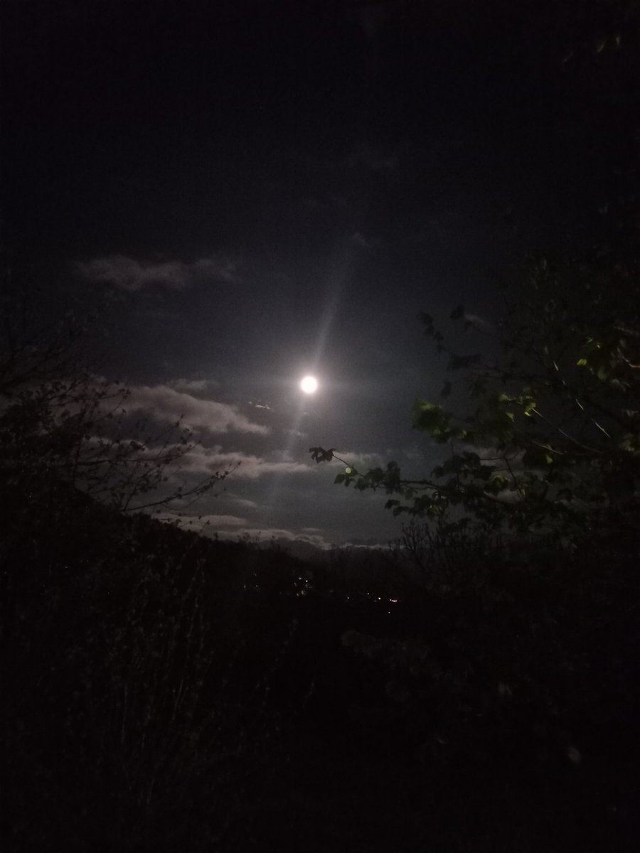 Miner Nava tweet media