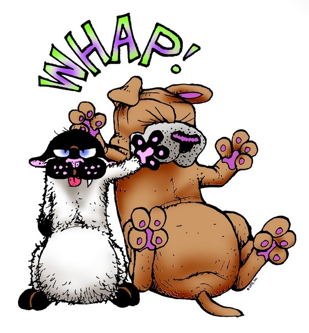 brett atwood tweet media