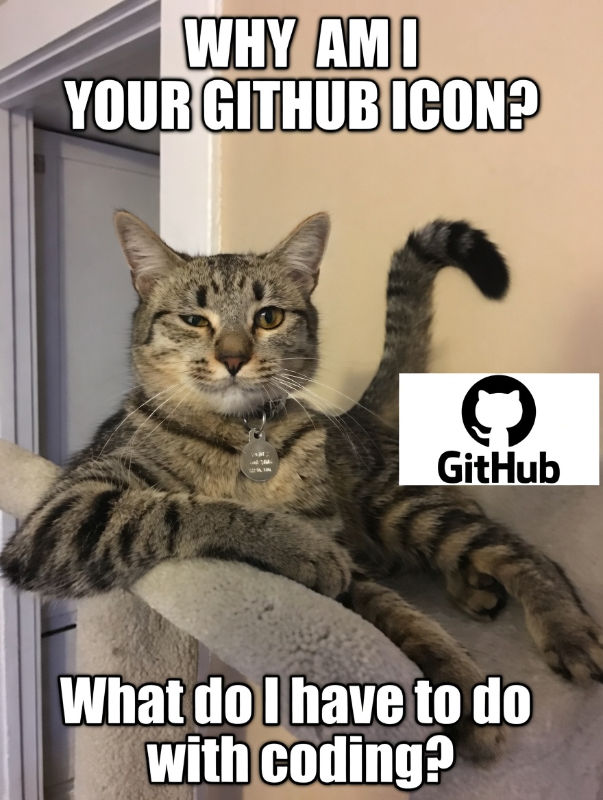 Ryan Els tweet media