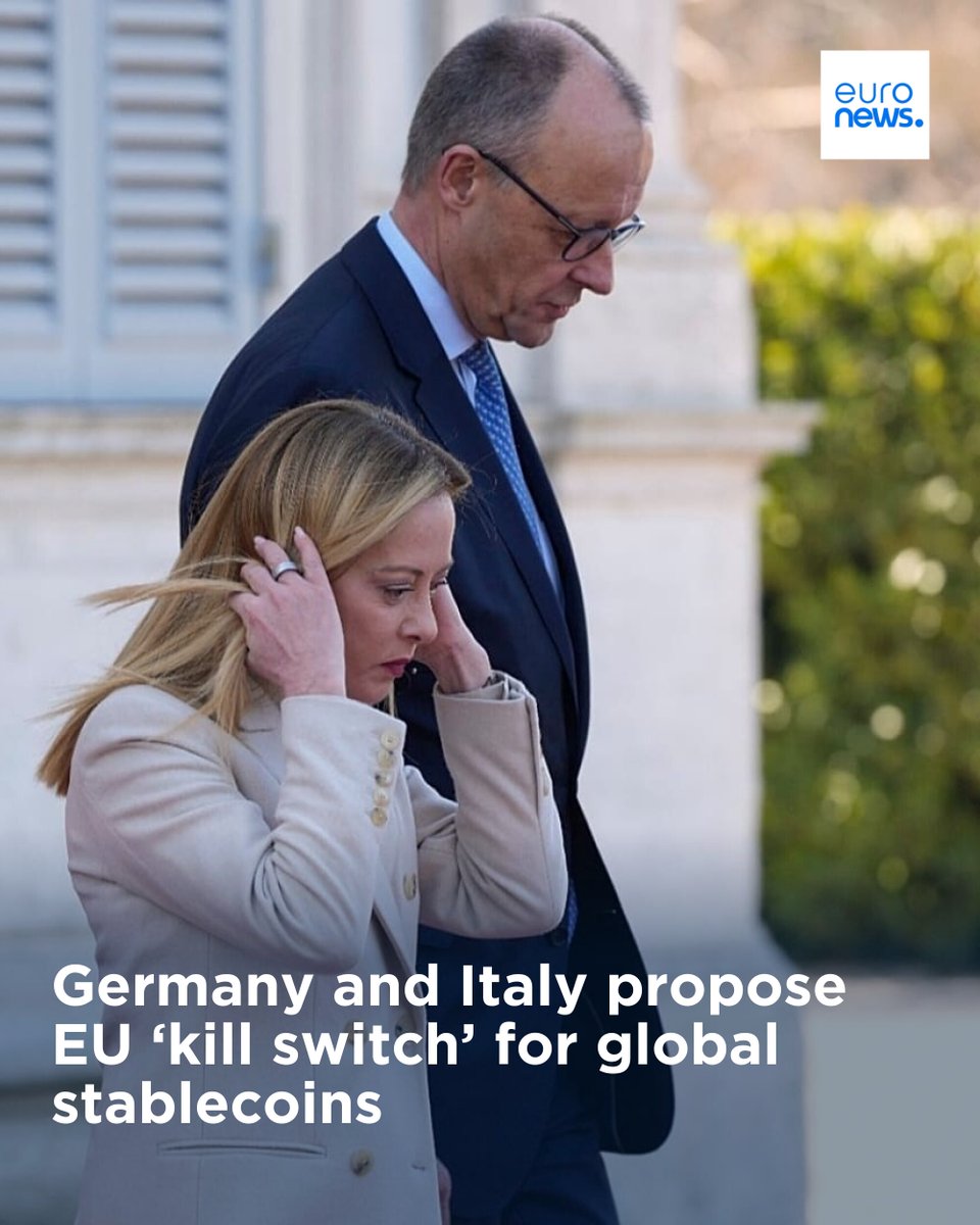 euronews tweet media