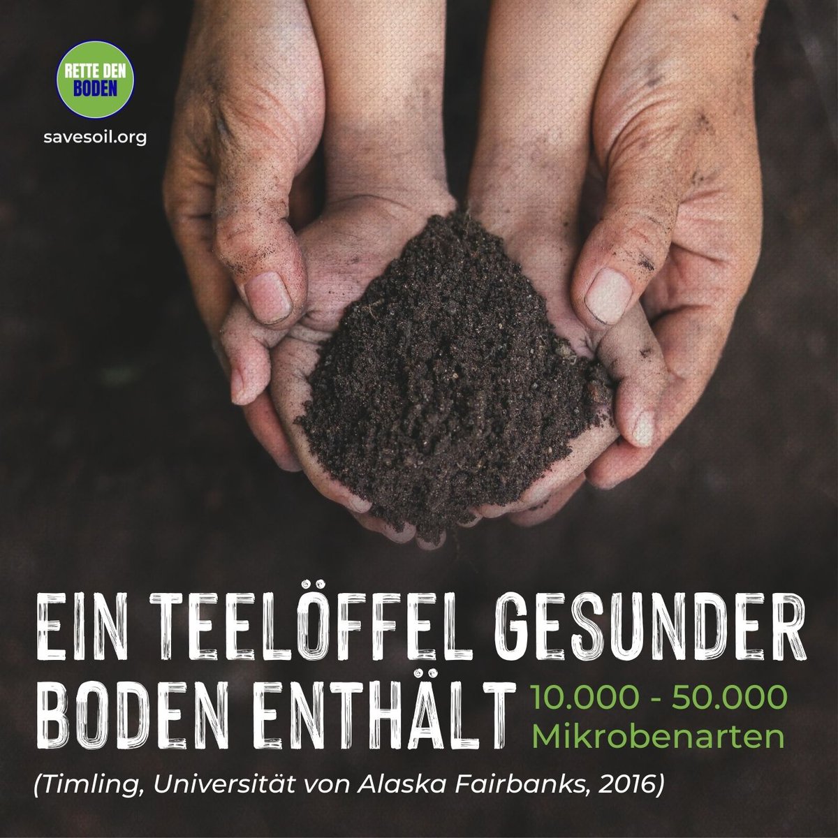 Bewusster_Planet tweet media