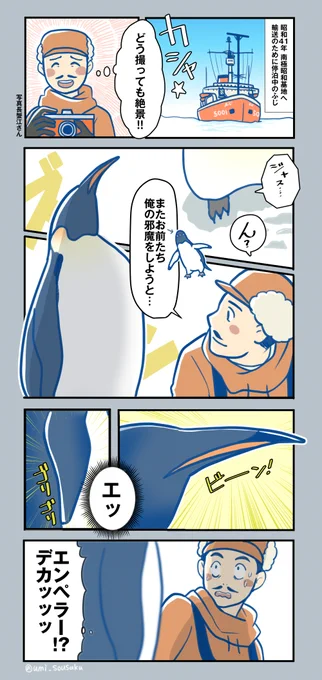 Q.南極のペンギンって本当に寄ってくるの?
A.寄ってくるペンギンもいます 