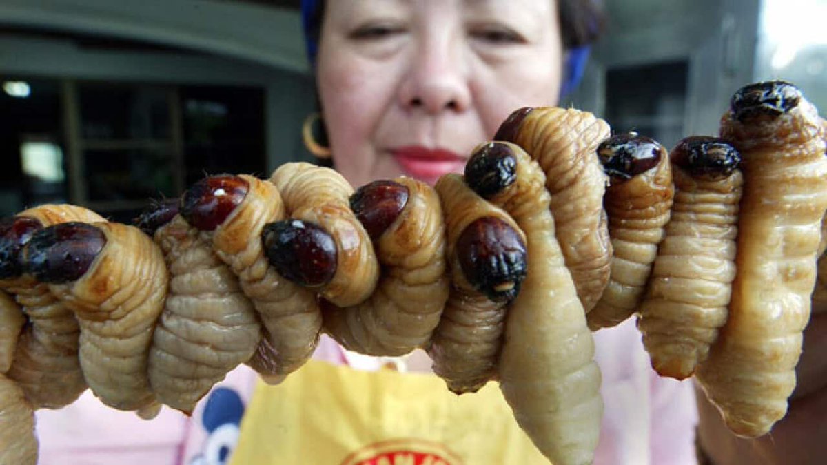 𝗘𝗡𝗡𝗬 tweet media