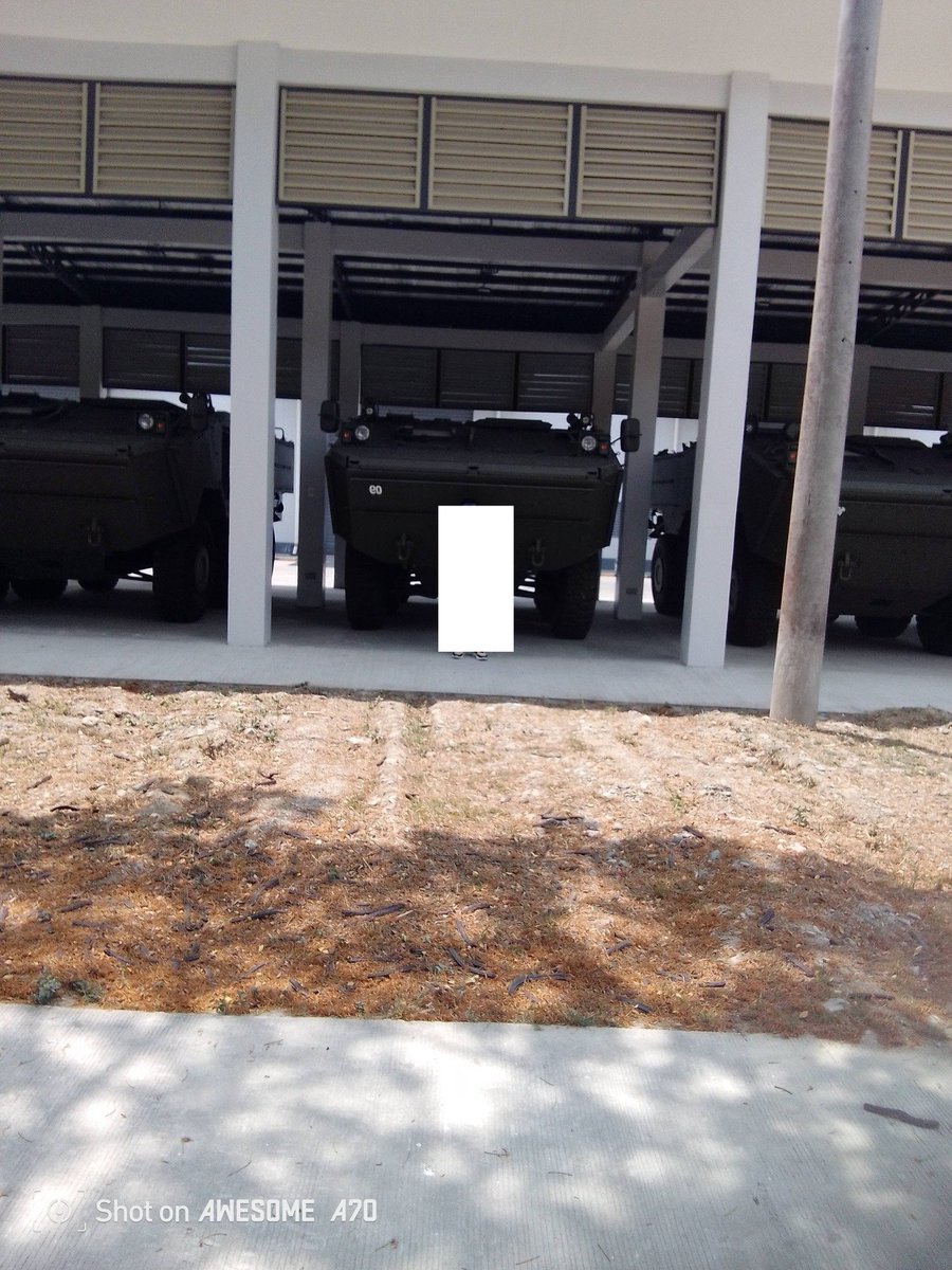 Para Bellum tweet media