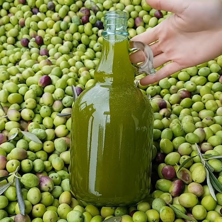 Ahmet Rasim Küçükusta tweet media