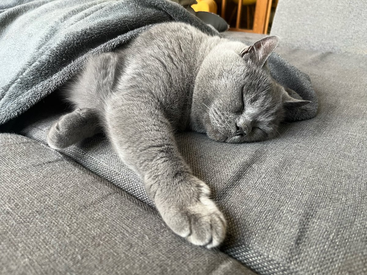 Herr Rpunkt tweet media