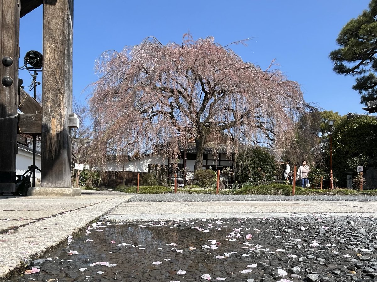 本山 本満寺【公式】 (@honmanji_kyoto) / Posts / X
