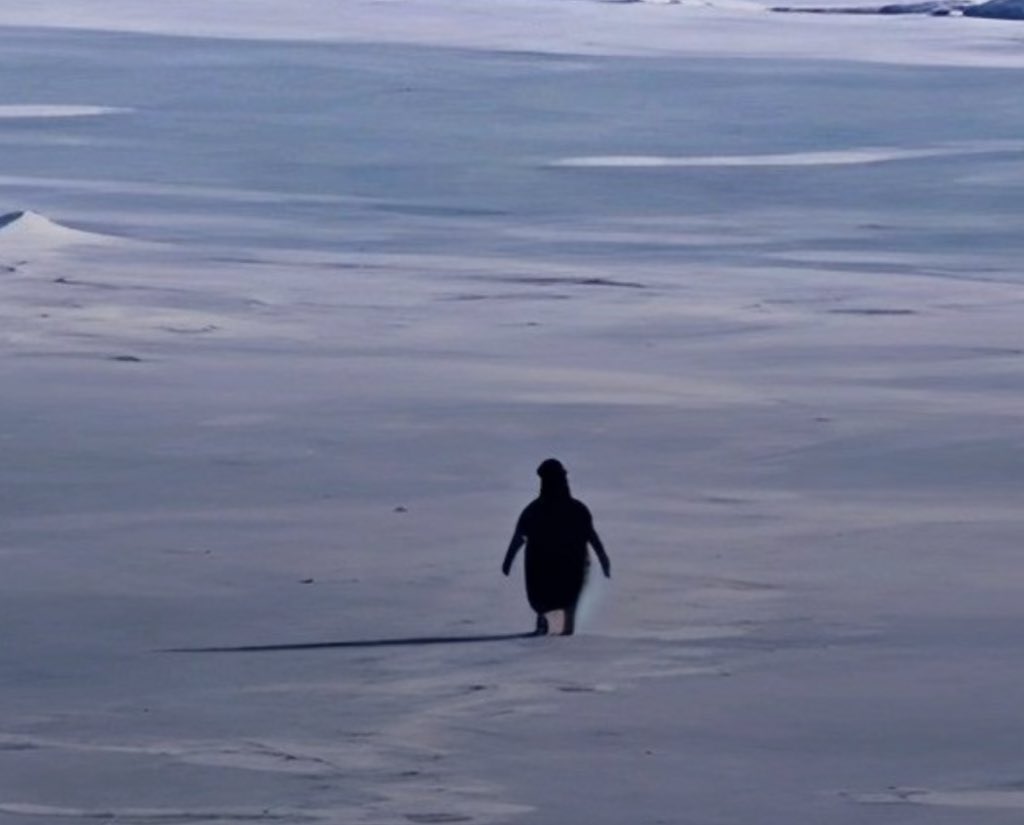 OJ✌️🎮 tweet media