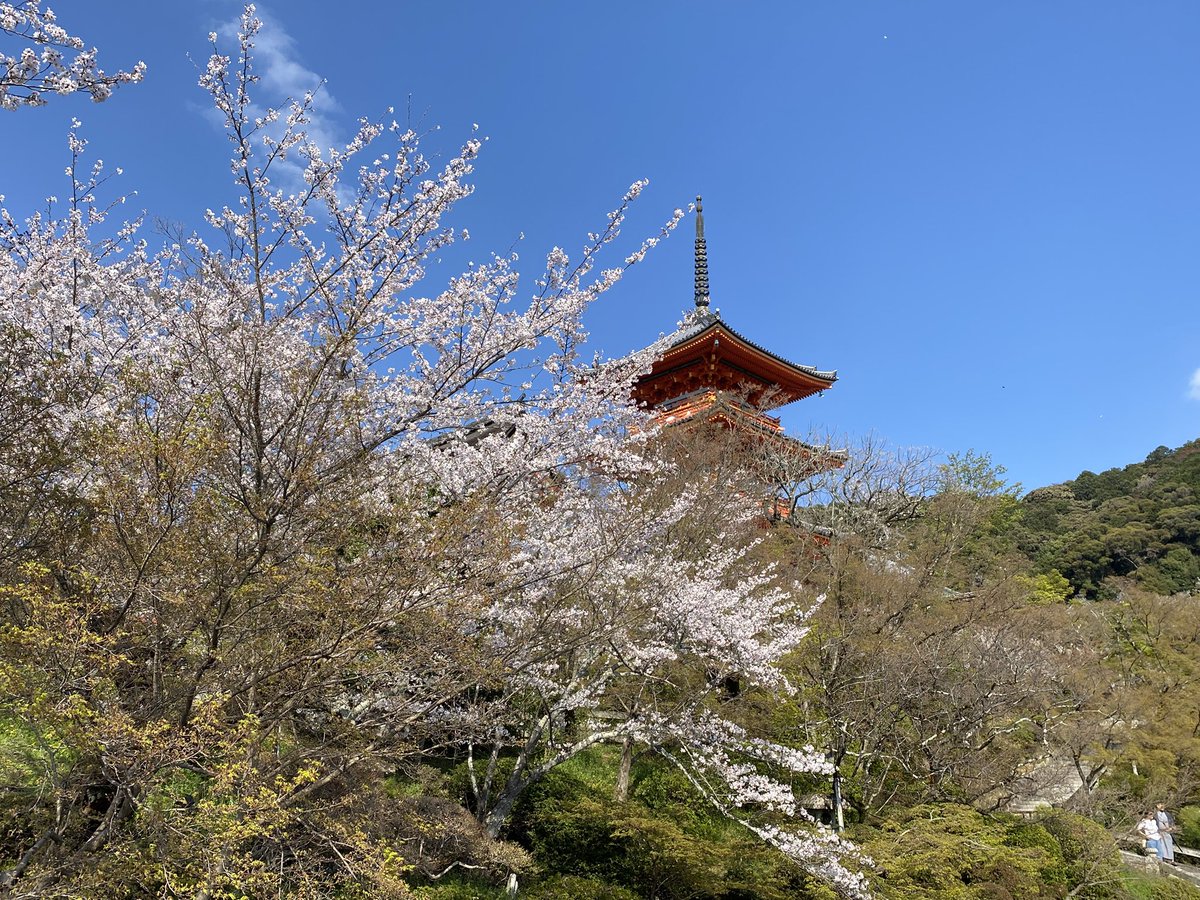 ぼんち☆ tweet media