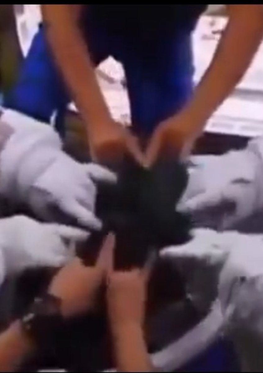 Jonah's gourd tweet media