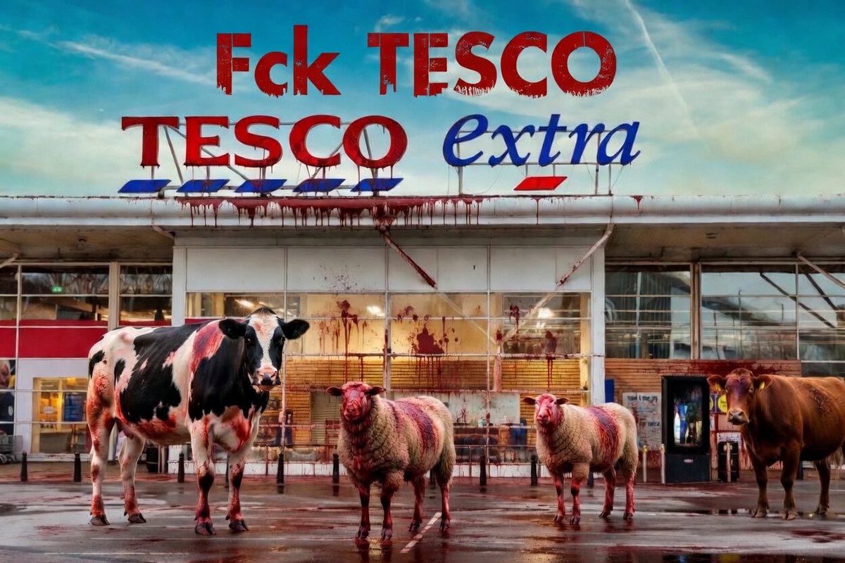britainsgeorge's tweet photo. @BasilTheGreat A massive fck you to Tesco for allowing our animals to be brutally slaughtered to keep Muslims happy! https://t.co/GGgrGkGBiI