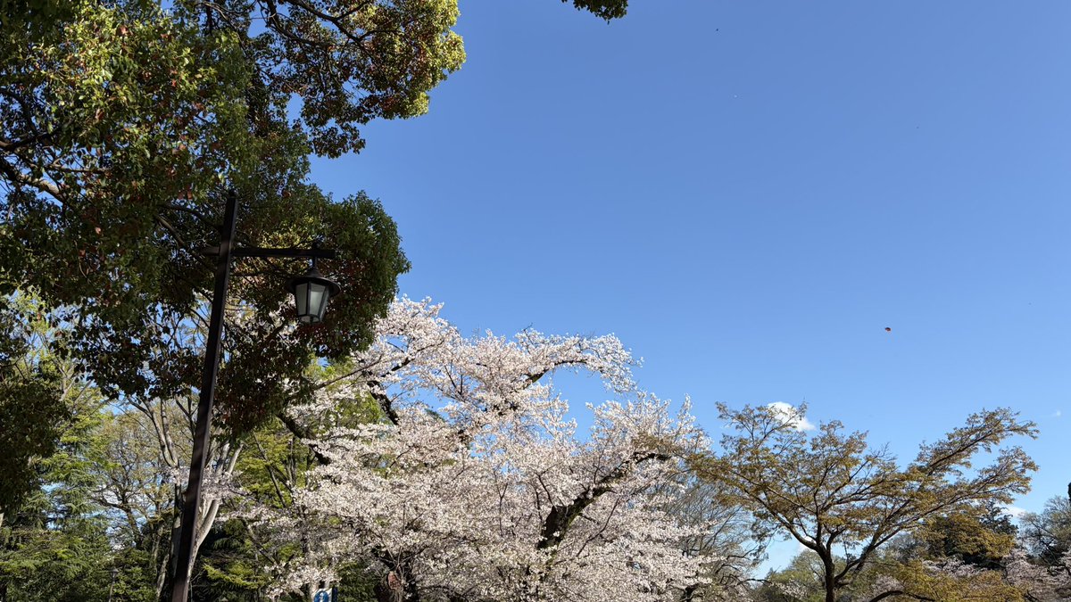 😺Cries Zone🎮 tweet media