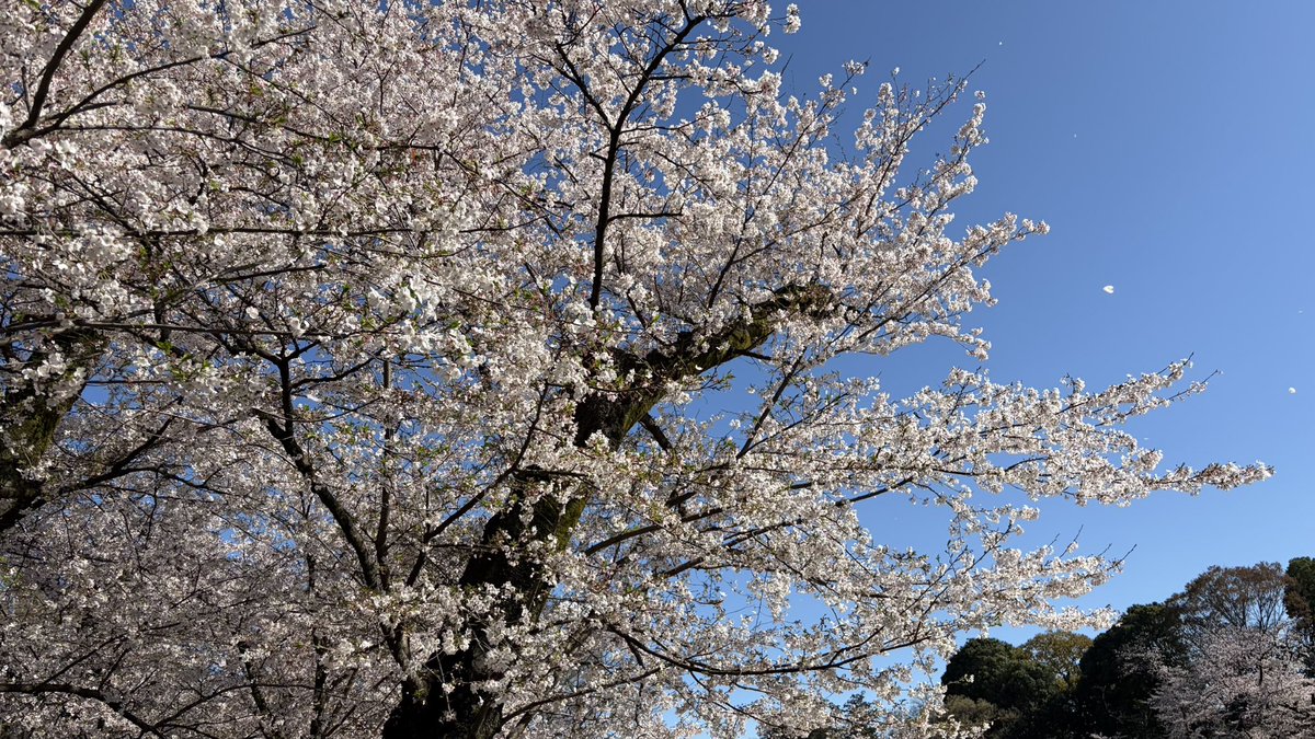 😺Cries Zone🎮 tweet media