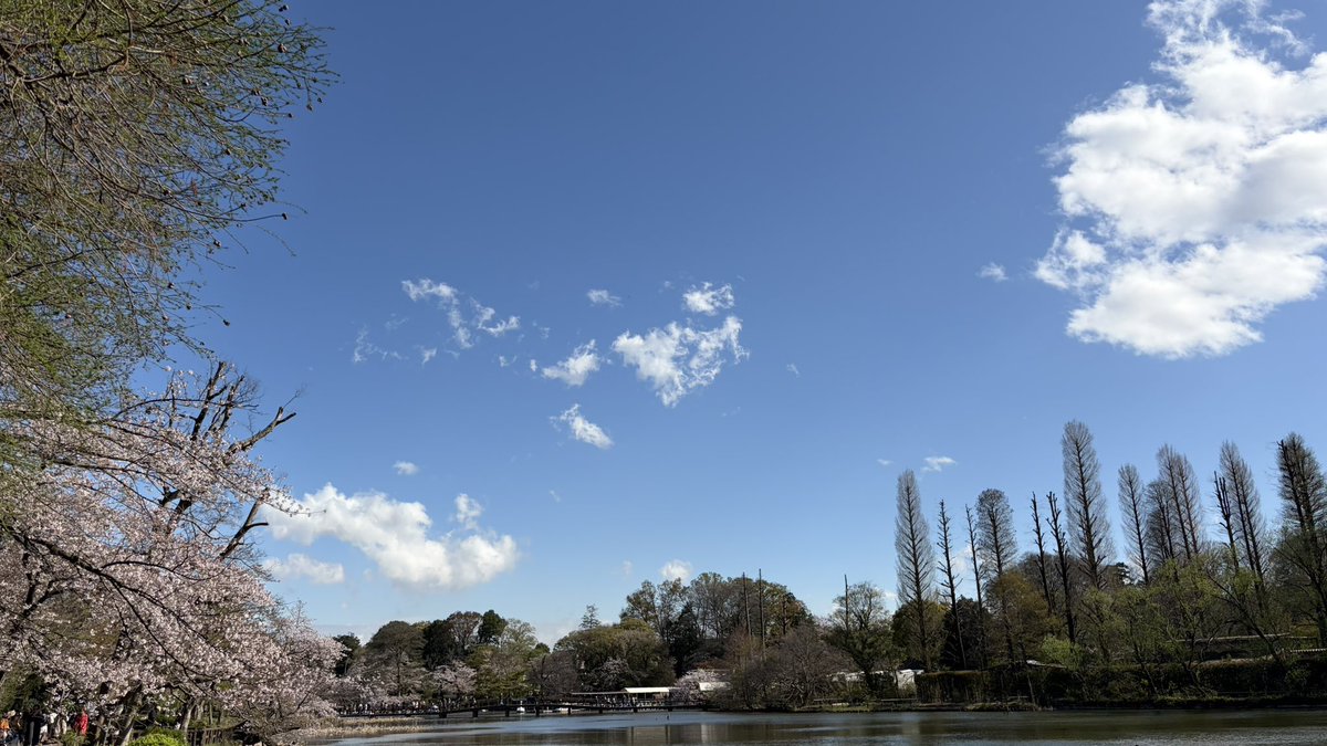 😺Cries Zone🎮 tweet media