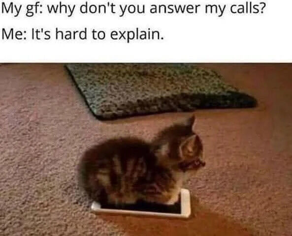 WholesomeMeme's tweet photo. https://t.co/Zy8dDfHOFH