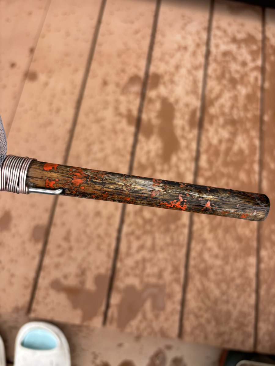 ぷれお tweet media