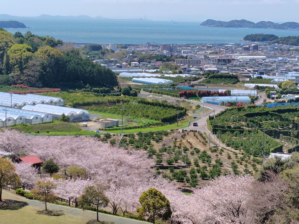 しがさんに勇気をもらった男 tweet media