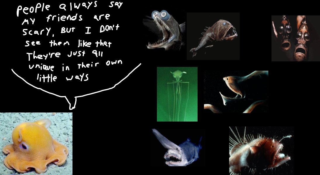 Foxernaut tweet media