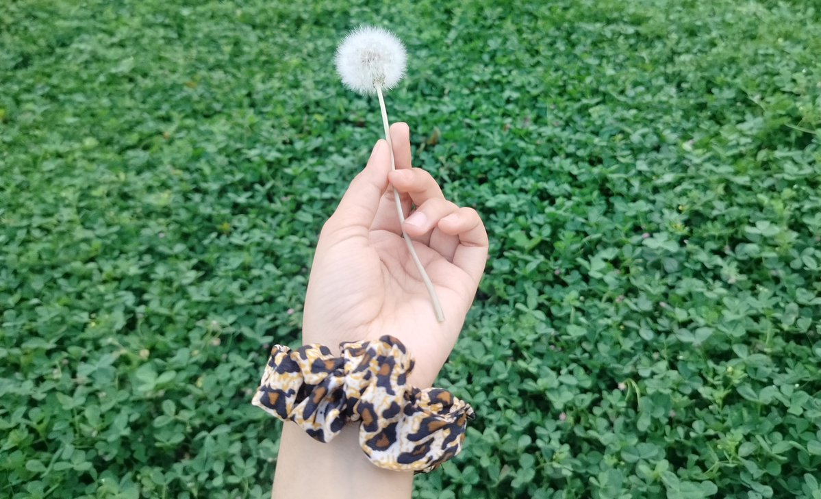 ཏྲི་གརྠ་ tweet media