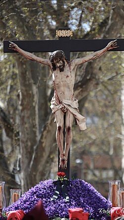 José F. Peláez tweet media