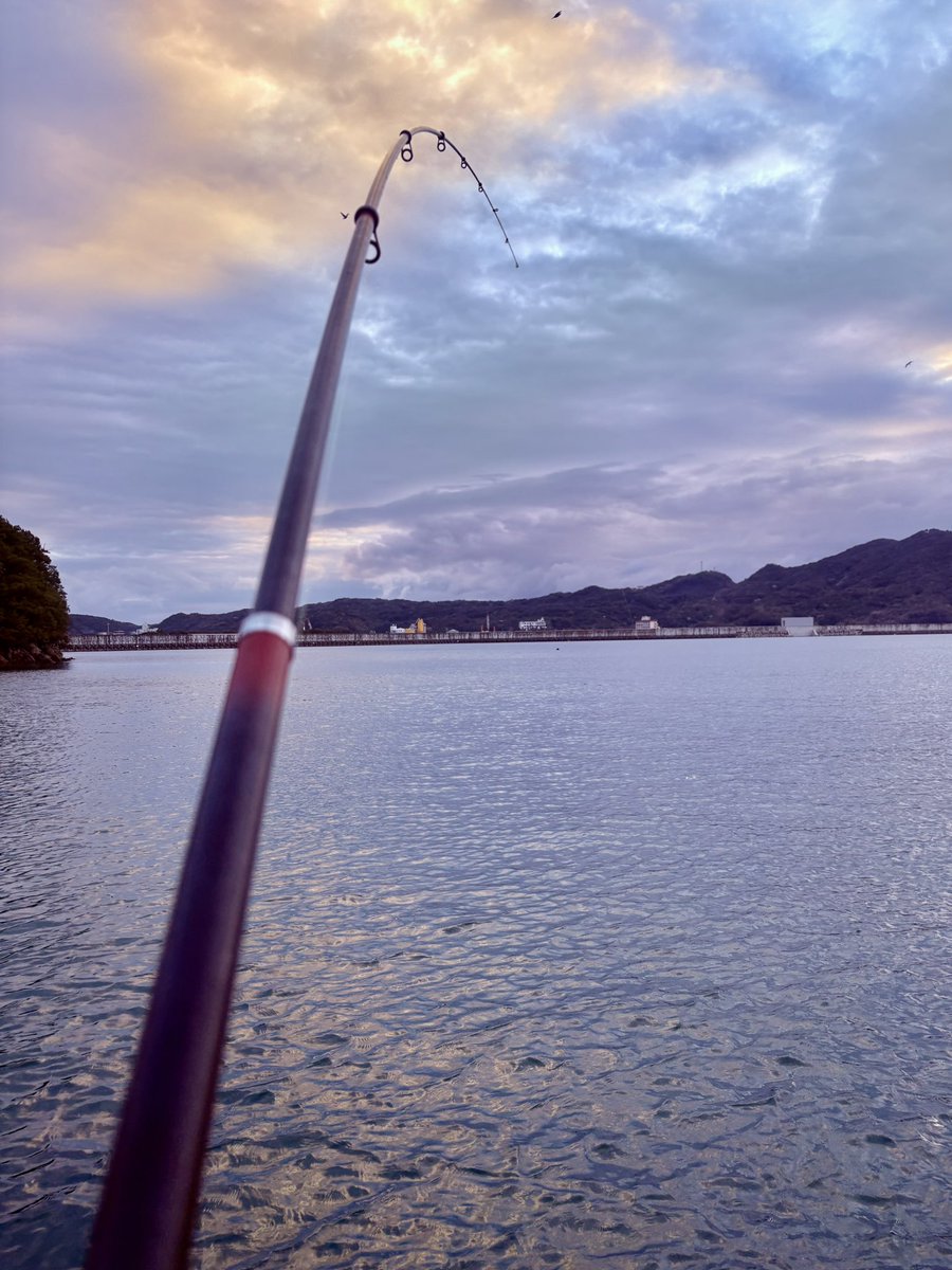 gaa_1121's tweet photo. 淡路島の思い出 https://t.co/tJWwZUKpGN