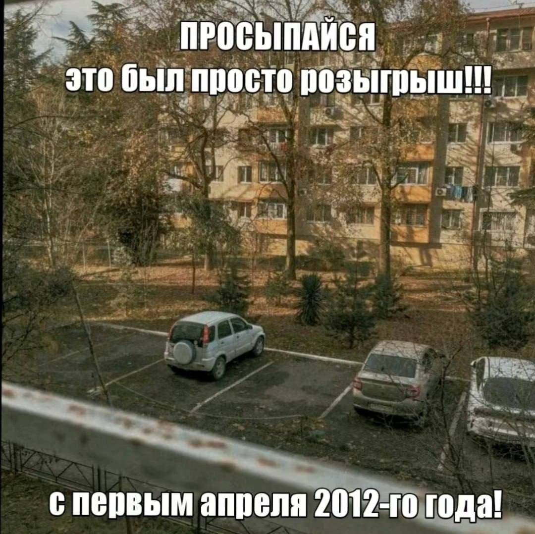 Шиза&База tweet media