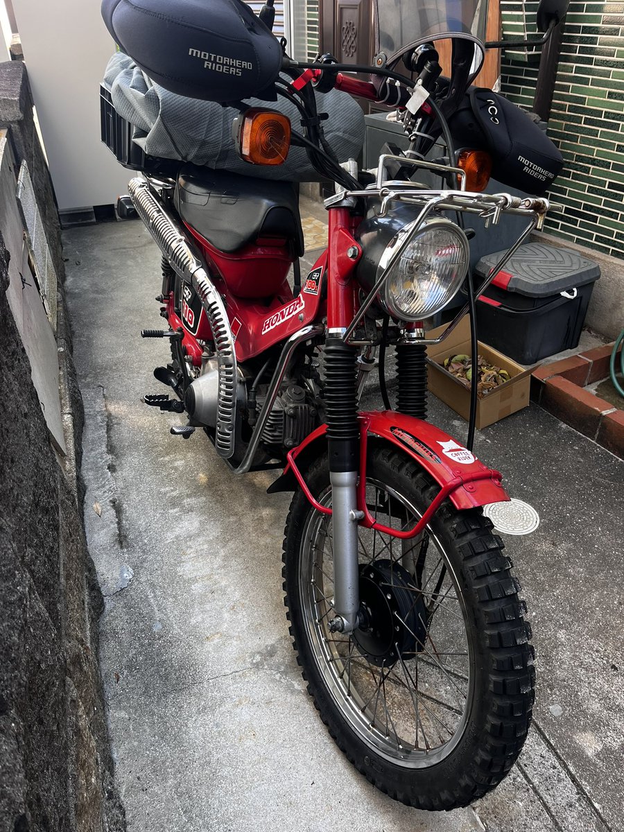 コフキ南瓜 tweet media