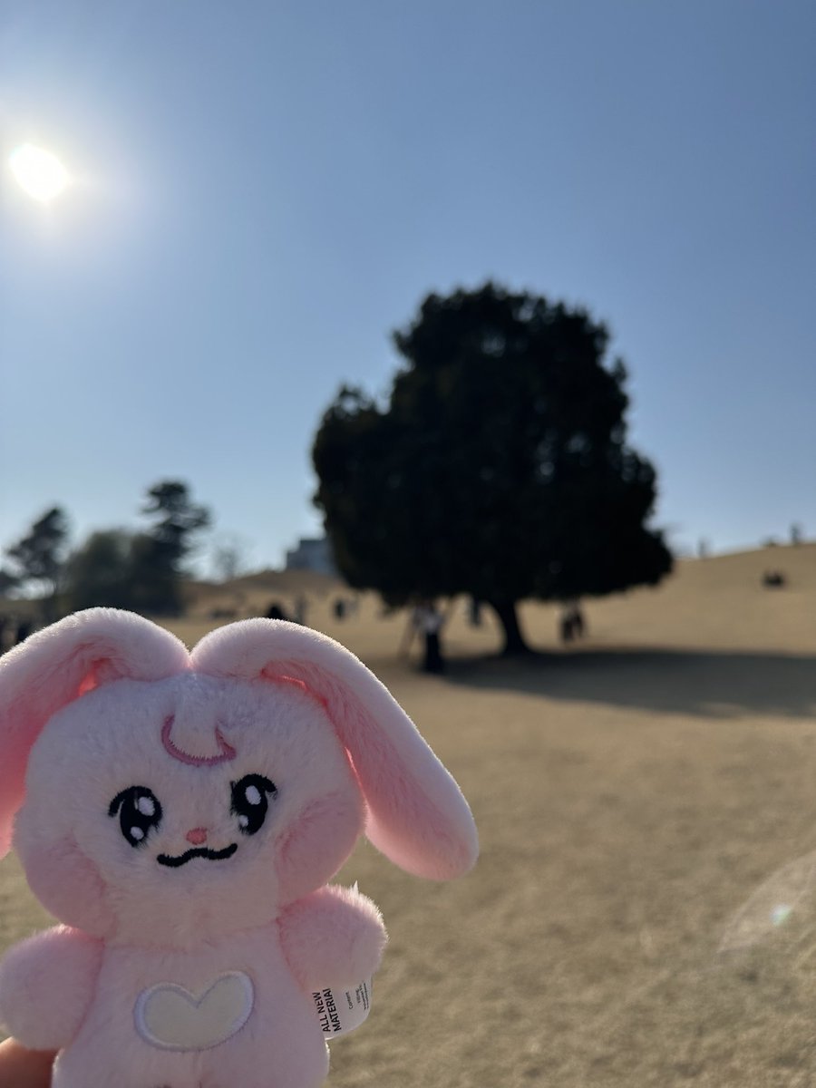 올림픽공원 많이가봤으면서 이번에 처음으로 
나홀로나무 보고옴! #뀨핑 이랑