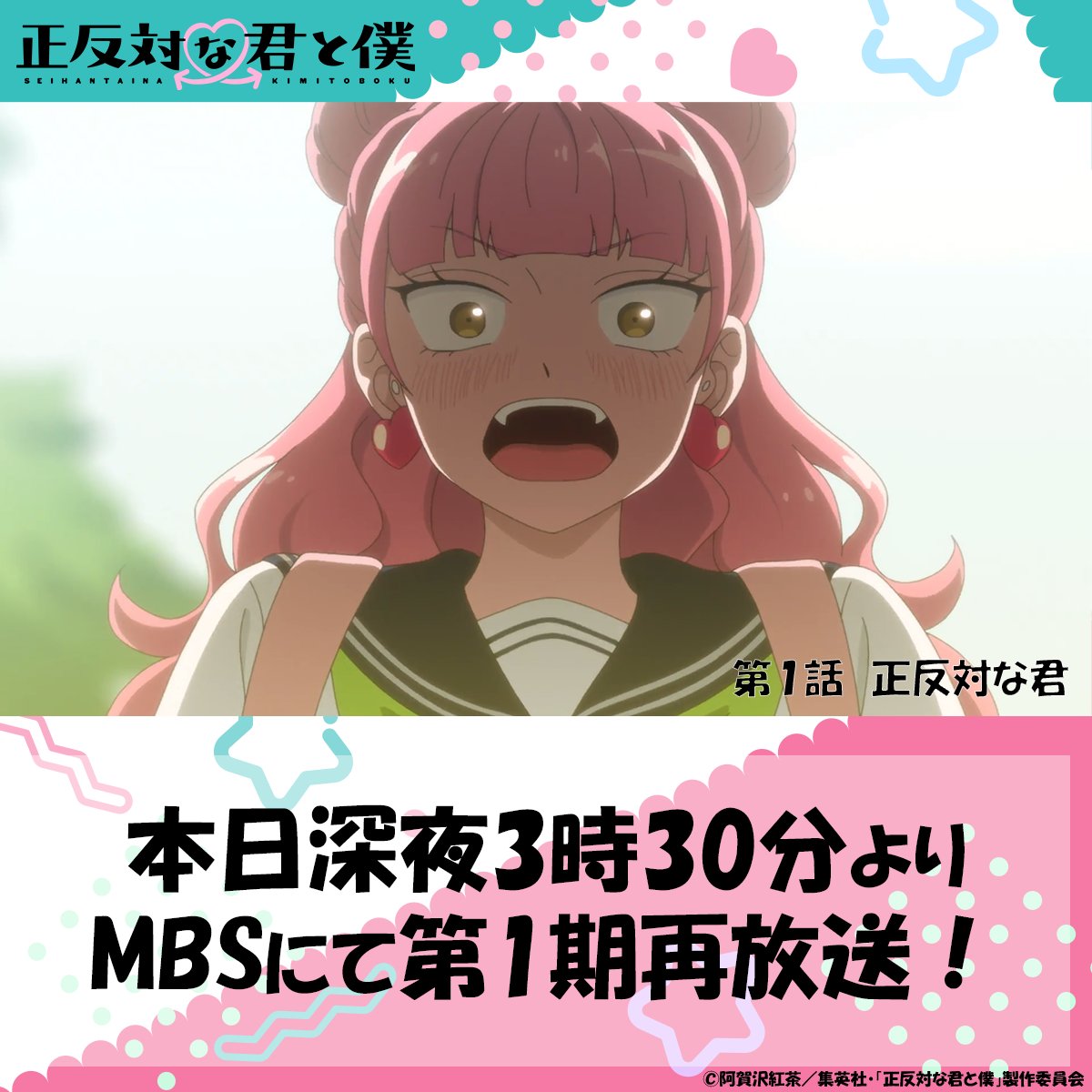 正反対な君と僕 公式 tweet media