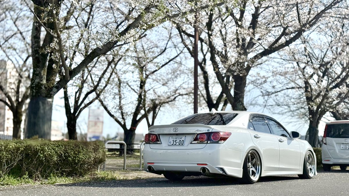 なめなる⚡️ tweet media