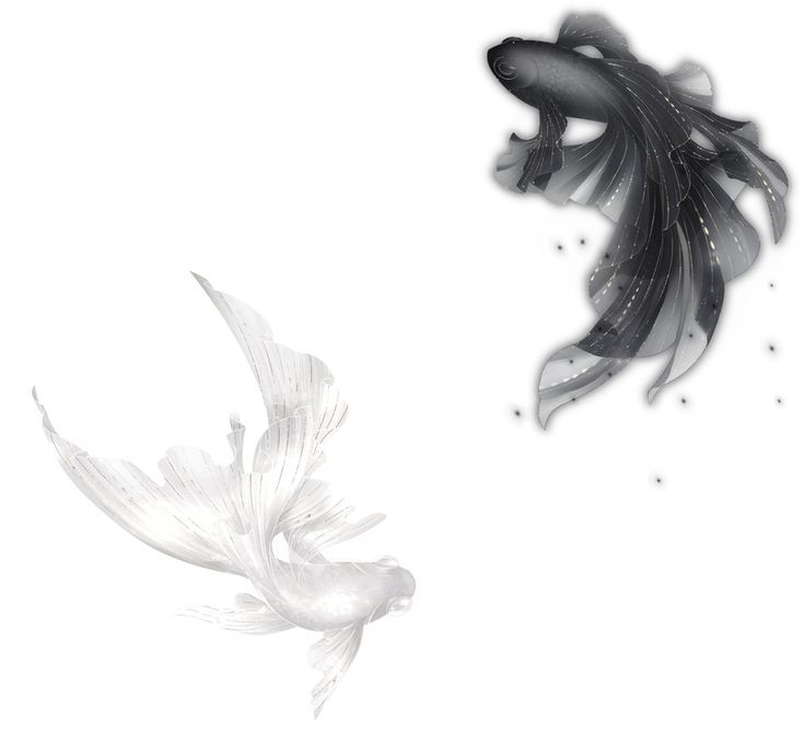 blue.ntte {Minchan kiss} tweet media