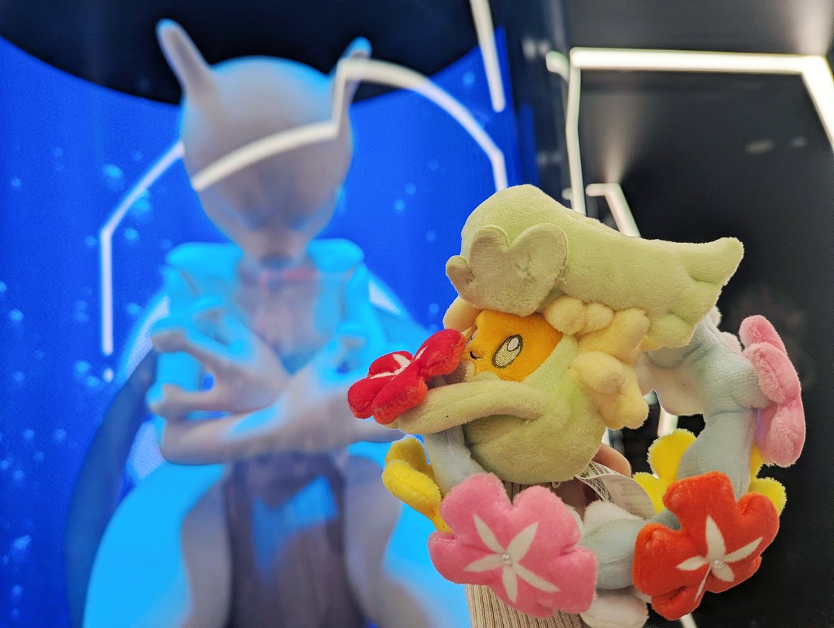 GUSA💮 tweet media