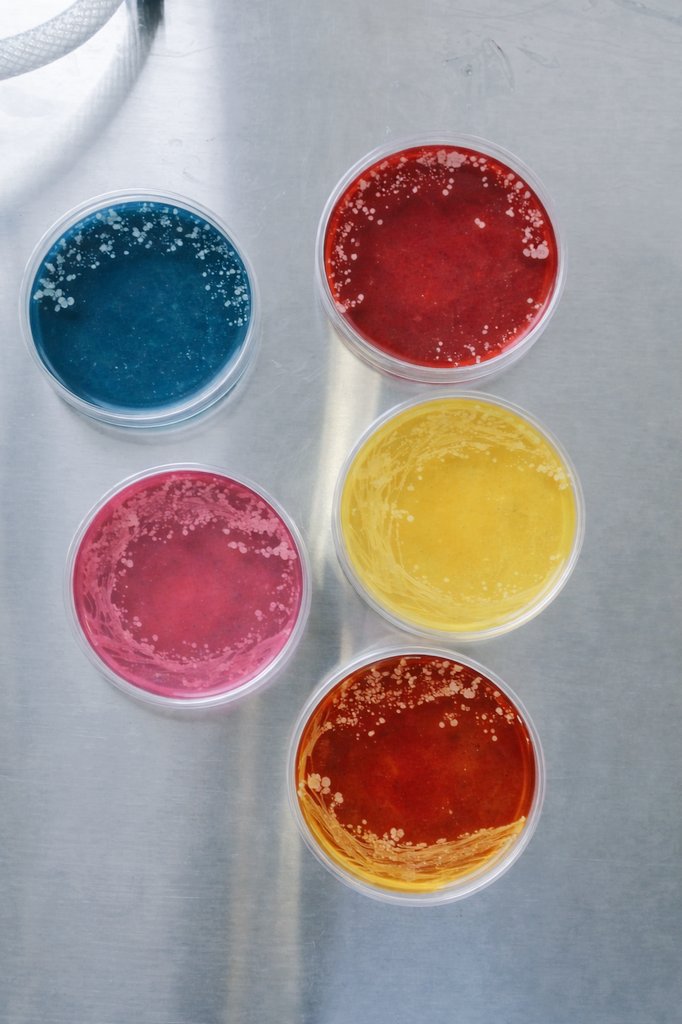 николь tweet media