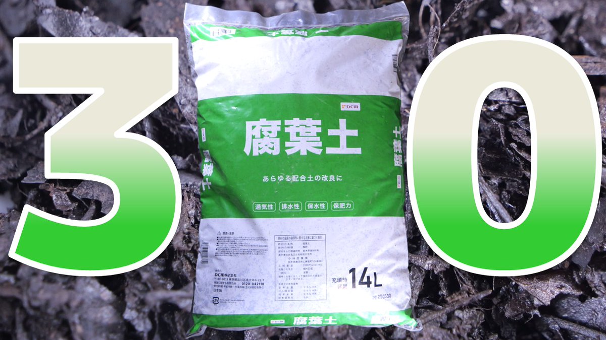 ふぶきテトラ(Fubuki Tetra) tweet media