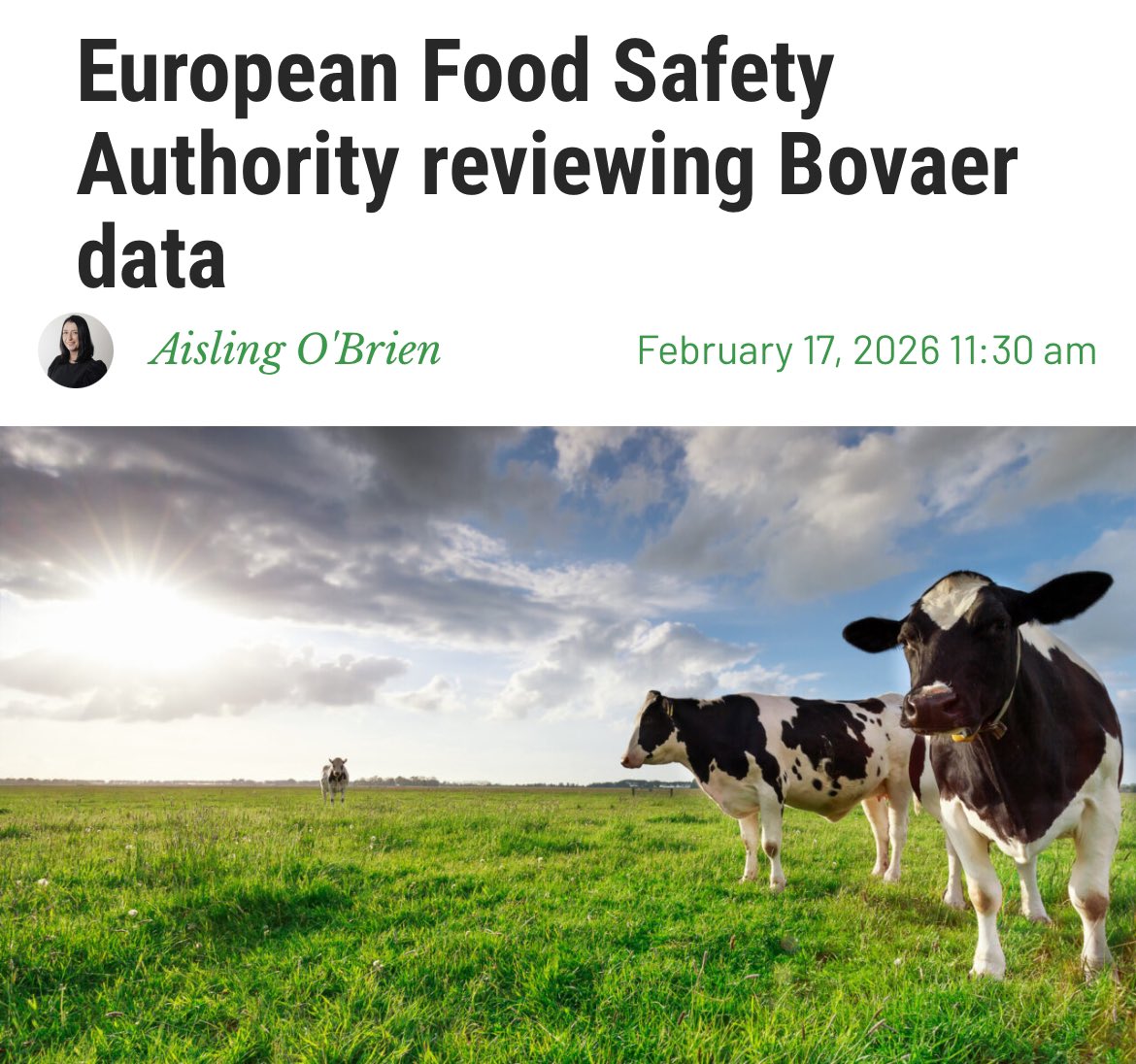 Kent Nielsen Denmark tweet media