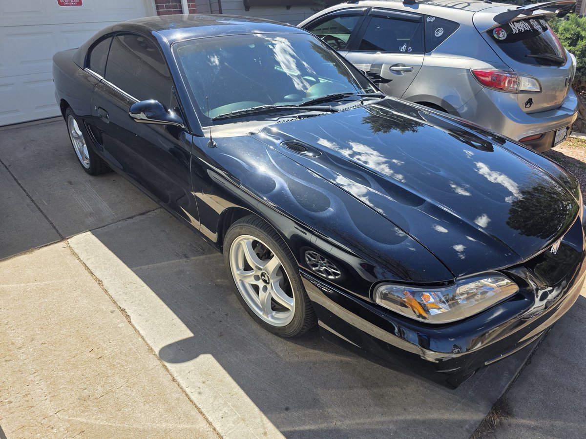 DistortionDisty's tweet photo. Oppp.  Another mustang? 👁👁 https://t.co/Wg0wHhqNFW