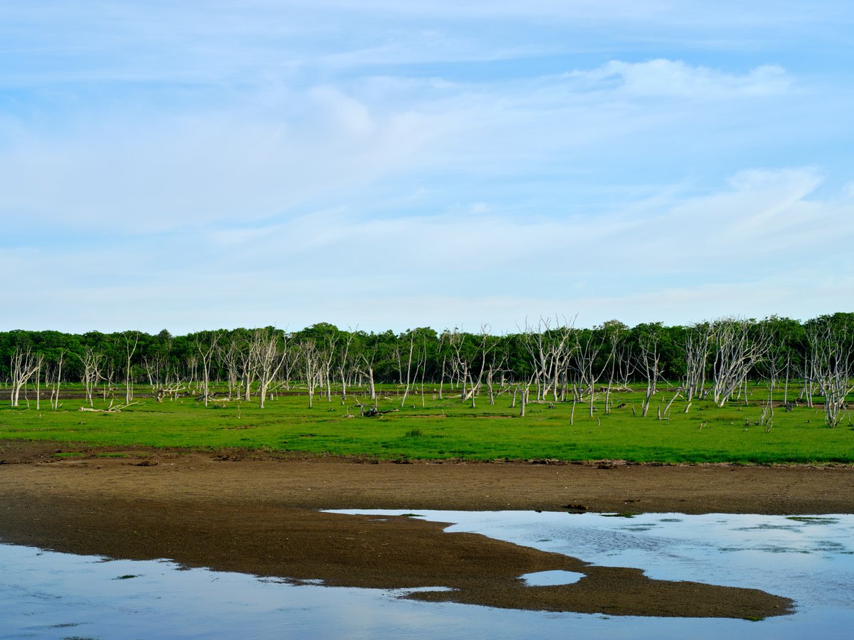 北海道グルメ・観光NorthSmile(ノーススマイル)/エリちゃん🧸ིྀ tweet media