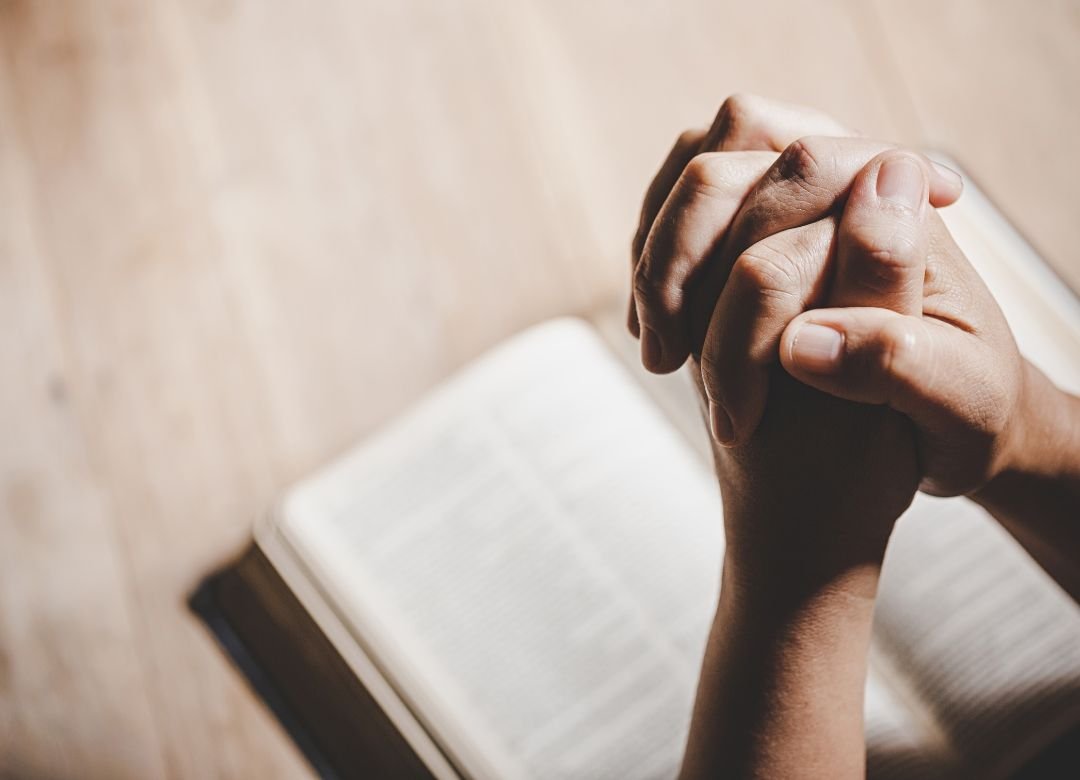 #MothoWaBatho tweet media