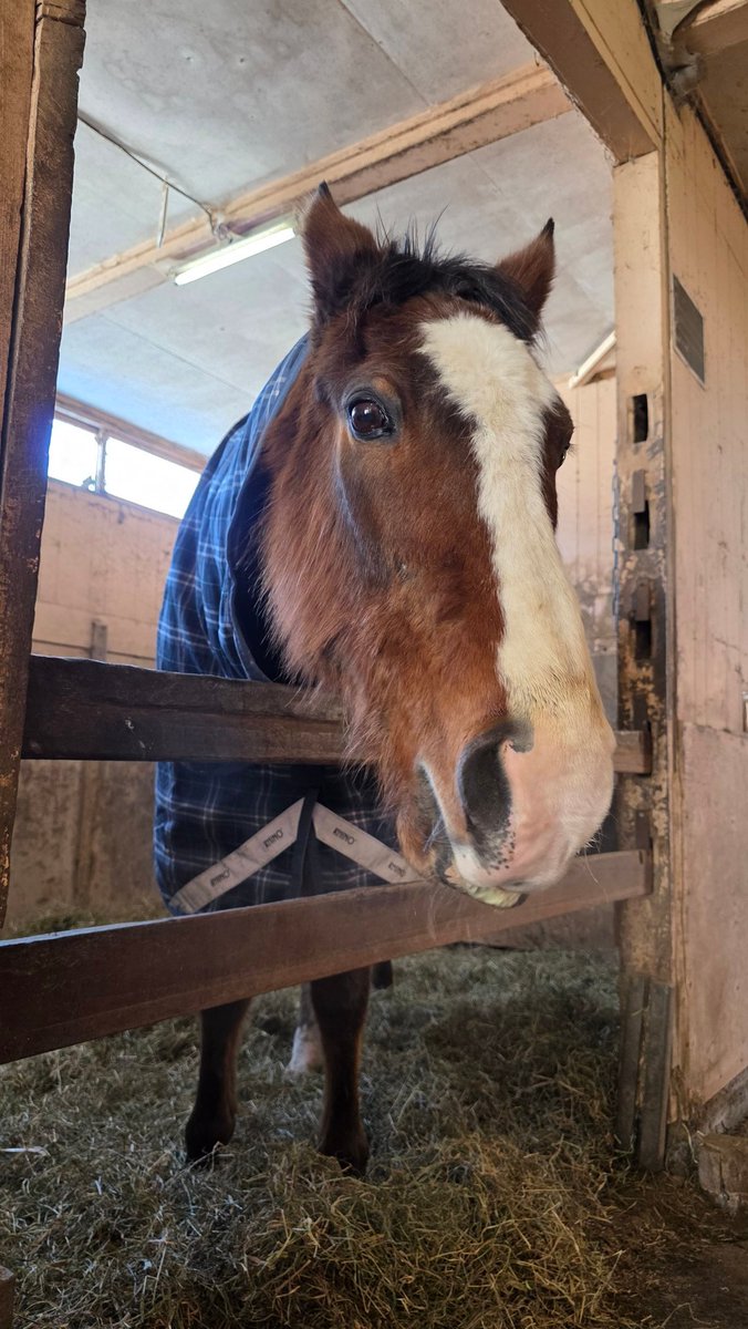 something cool tweet media