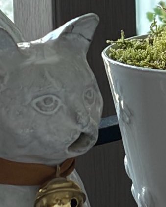 운명적 💗 tweet media