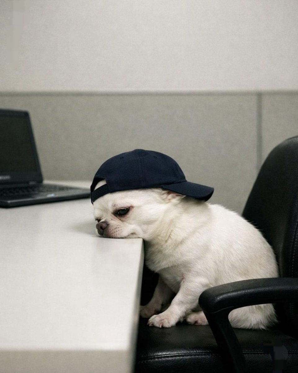 Gupero | Your Visibility Designer🚀 tweet media