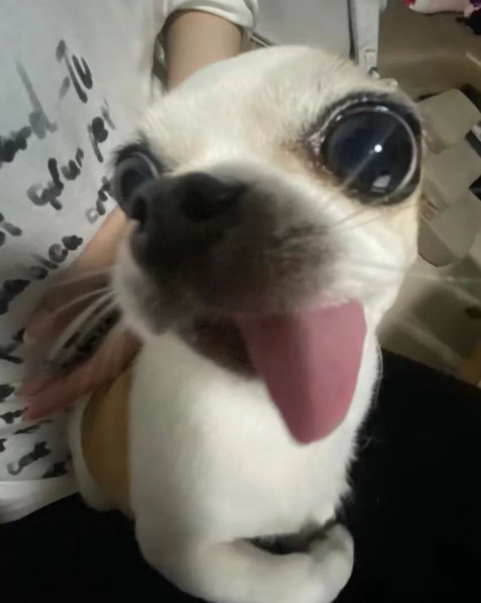 ✨❤️‍🔥𝖅a҉𝖗𝖙𝖑𝖎𝖈𝖍𝖊𝖀𝖓𝖇𝖊𝖖𝖚𝖊𝖒𝖊 ❤️‍🔥✨ tweet media