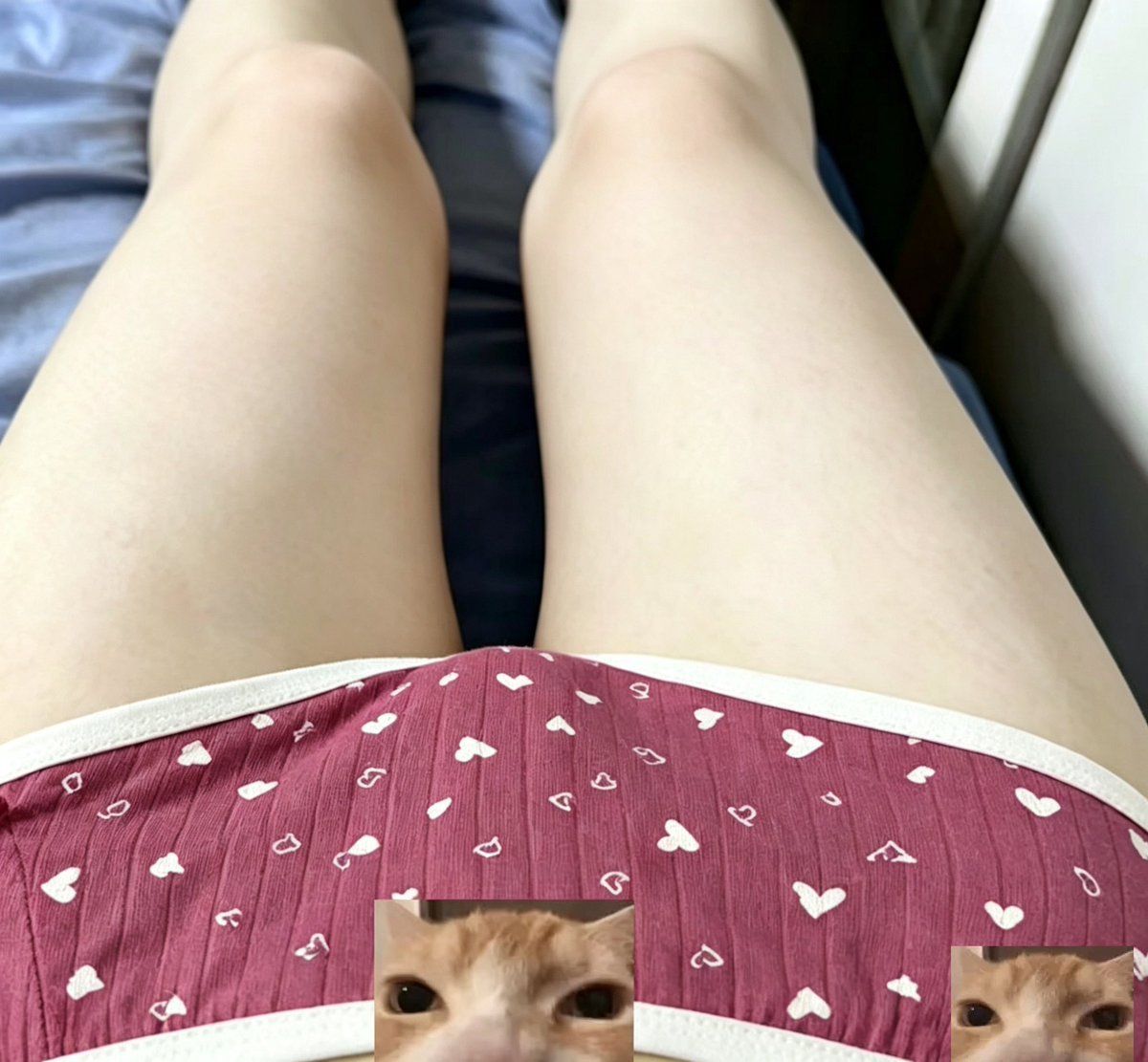 mimicoco520's tweet photo. 4🈷️🎟️抽奖
内裤🩲4条
丝袜4条
鞋垫一双
48菜单选4个5份
主页有QQ，喜欢或者想要抽奖的➕
参加方式点赞评论转发关注！ https://t.co/lHhdgW21PX