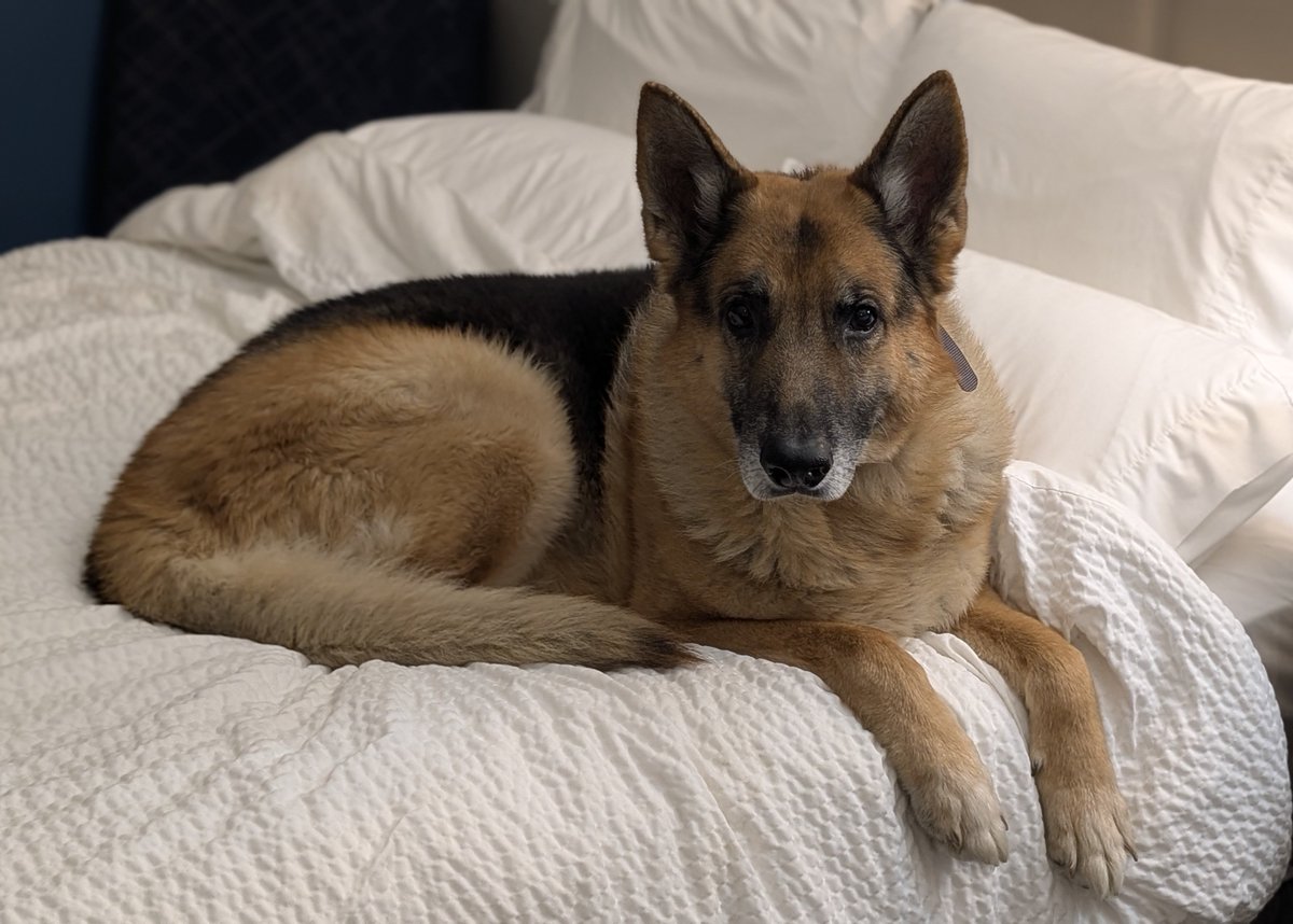 KING ΘΔ tweet media