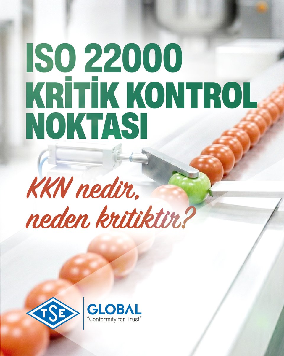 TSE GLOBAL tweet media