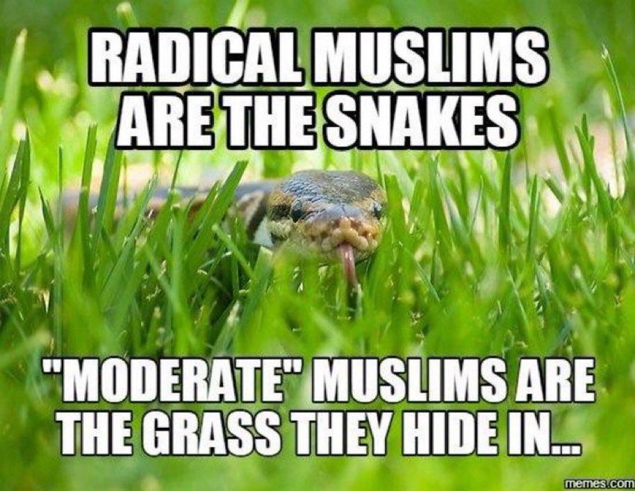 Waffle Toaster tweet media