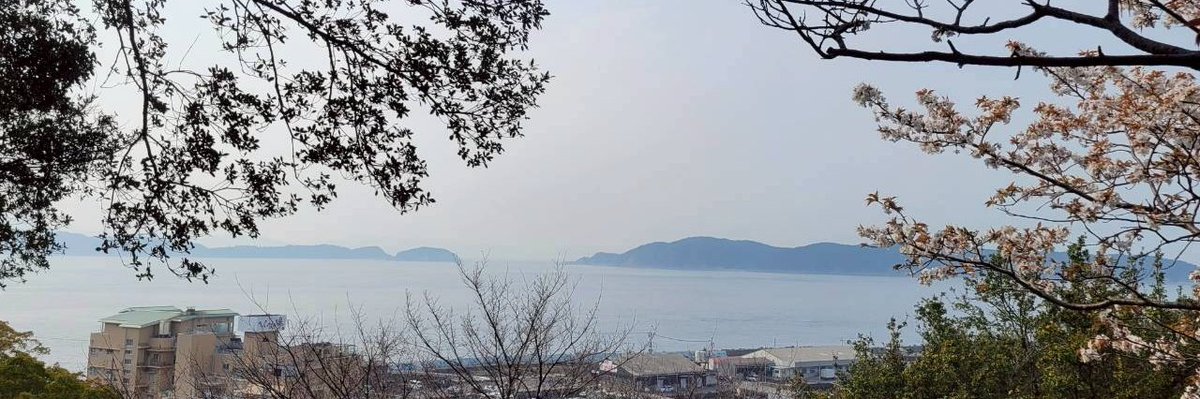 happaclip's tweet photo. 今月のヘッダーです！
桜🌸と海🐟️ https://t.co/C7YRxLier1