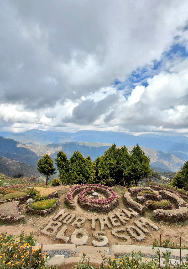 Matic Andrew tweet media