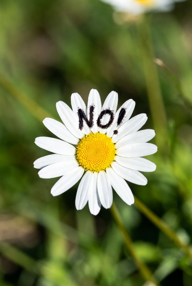 KaҐҼп A P tweet media