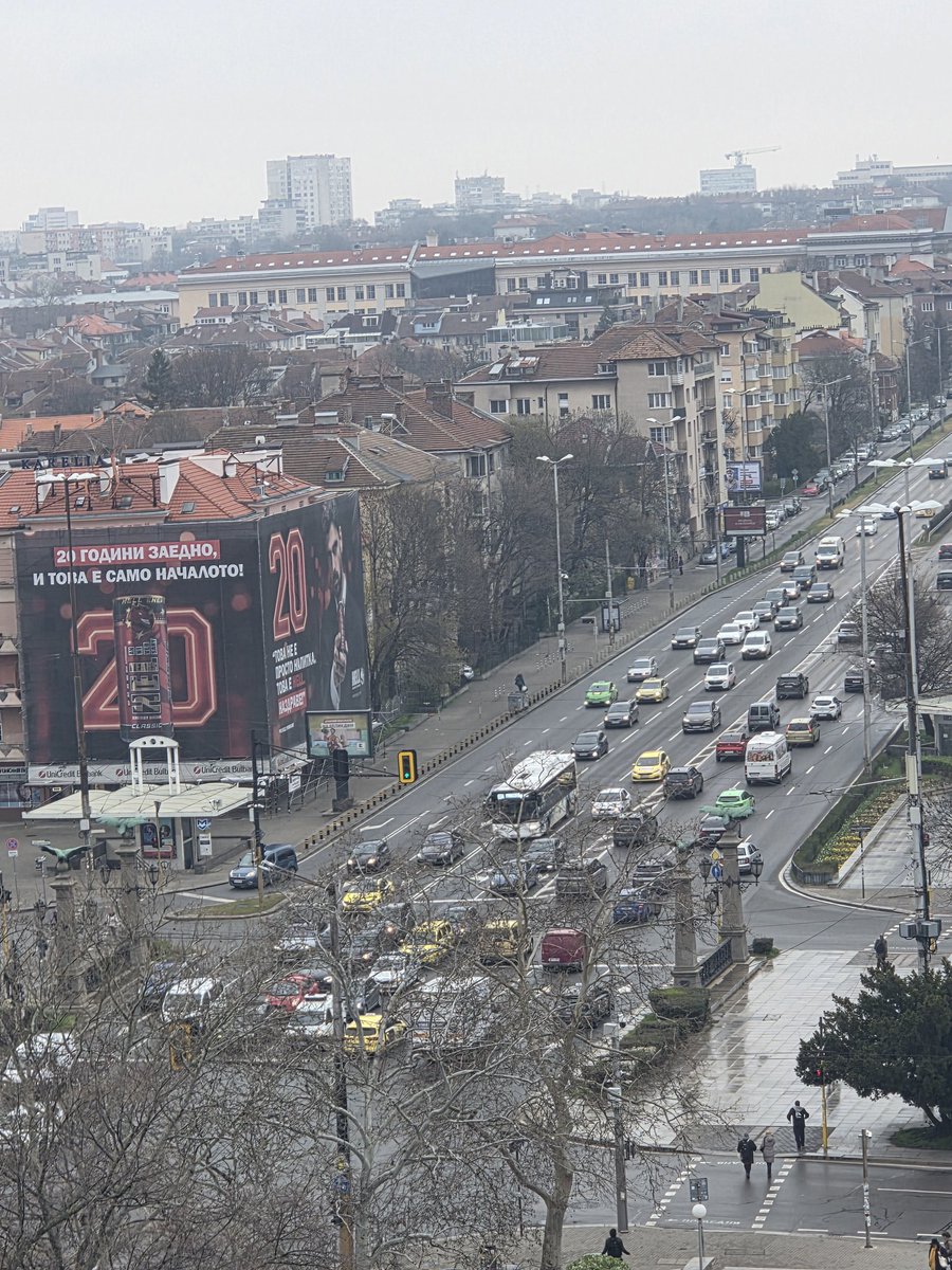 Brandusa Predescu tweet media